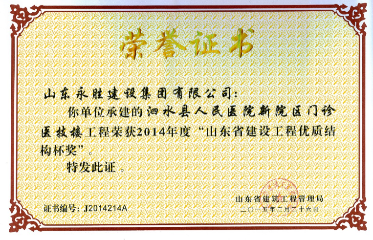 2015.2泗水人民醫(yī)院新院區(qū)門診醫(yī)技樓省優(yōu)質(zhì)結構